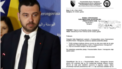 Magazinović: Državna imovina nezakonito knjižena u 402 slučaja