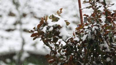 U BiH danas oblačno, moguća susnježica ili slab snijeg