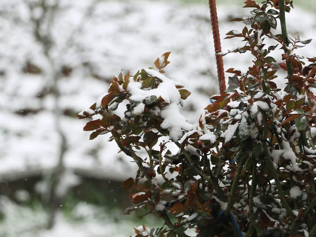 U BiH danas oblačno, moguća susnježica ili slab snijeg