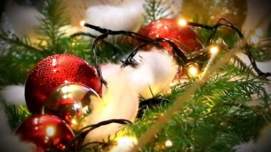 IlijašNet: Svim katolicima želimo sretan Božić
