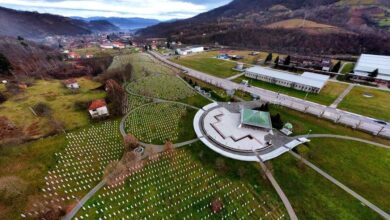 Reakcija Udruženja Majki Srebrenice i Žepe