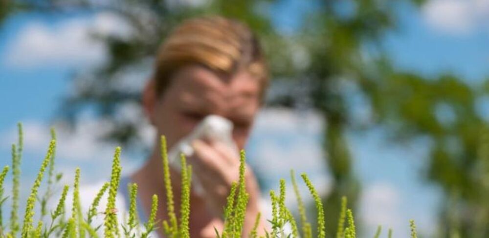 Vrijeme je polenskih alergija, kako ojačati organizam i boriti se protiv simptoma