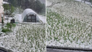 Nevrijeme napravilo havariju u blizini Tuzle: Grad uništio usjeve