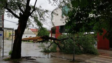 Jako nevrijeme pogodilo Tuzlu: Dio stabla pao na saobraćajnicu