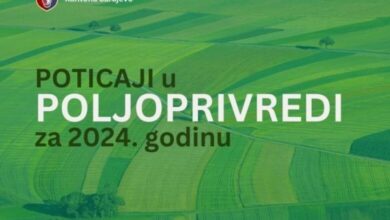 Ministarstvo privrede KS: Isplaćeni poticaji u poljoprivredi za prvu polovinu 2024. godine