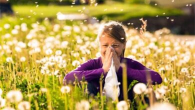 Ekstremne temperature uzrokuju visoke koncentracije polena u zraku