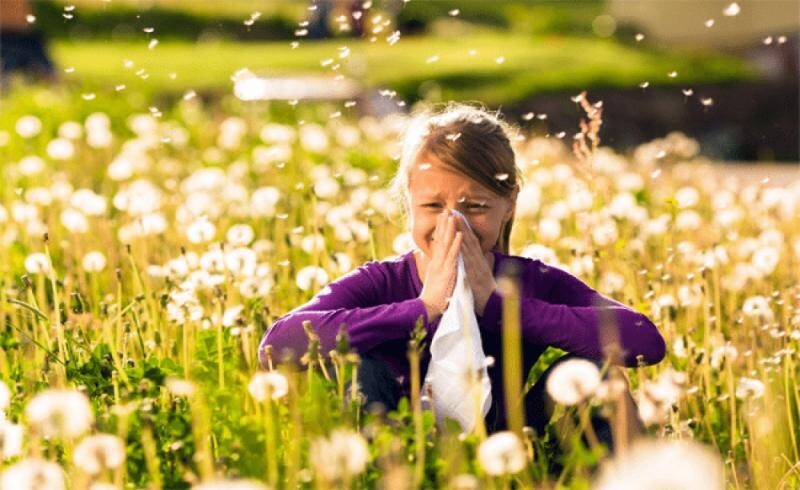 Ekstremne temperature uzrokuju visoke koncentracije polena u zraku