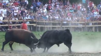 Zamjena za Čevljanoviće: U subotu velika korida u Olovskim Lukama