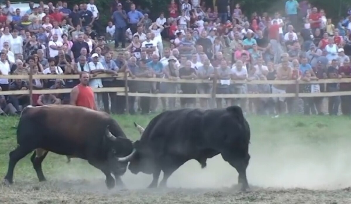 Zamjena za Čevljanoviće: U subotu velika korida u Olovskim Lukama