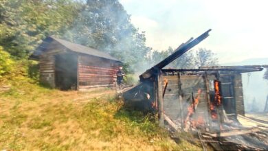 Brzom intervencijom vatrogasaca spriječeno širenje požara u Gojanovićima kod Ilijaša