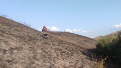 Gorjelo nisko rastinje u Mrakovu kod Ilijaša