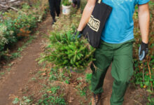 Johnnie Walker organizirao plansku sadnju 18.000 stabala iznad Kreševa i Kiseljaka