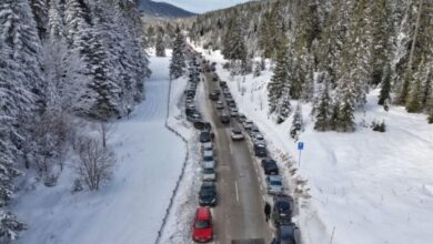 Policija blokirala ulaze prema Igmanu: Planina ispunjena posjetiteljima unatoč gužvama