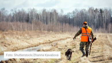 Nova pravila o korištenju pasa u lovištu Republike Srpske