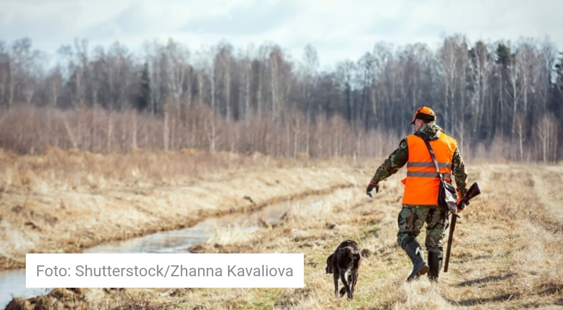 Nova pravila o korištenju pasa u lovištu Republike Srpske