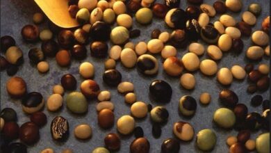 S tržišta BiH povlači se skupina sojinih proizvoda