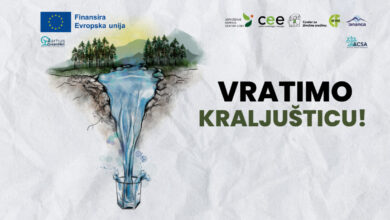 Institucionalno sljepilo, paraliza, nerad inspektorata i Zakon o šumama kao alibi za nečinjenje: Kome se obratiti? Ko će odgovarati za Kraljušticu?