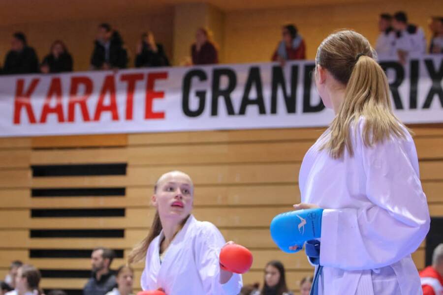 Ilijaški karate klub zablistao na 33. Grand Prixu Croatia u Rijeci
