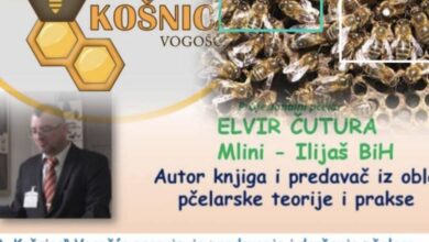 Danas u Vogošći edukativno predavanje o višematičnom pčelarenju i održivosti