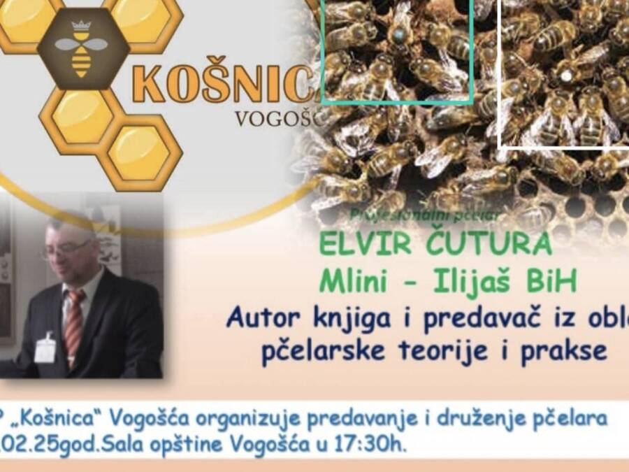 Danas u Vogošći edukativno predavanje o višematičnom pčelarenju i održivosti