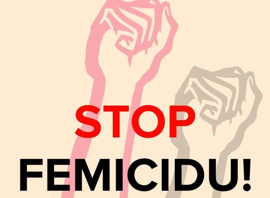 Glas žene: Ne smijemo izgubiti više nijedan dan u čekanju na krivično pravno regulisanje femicida