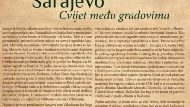 Uoči gradskog vijeća oglasili se iz Udruženja “Isa-beg Ishaković”