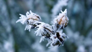 Jutros hladno, tokom dana sunčano i toplije vrijeme