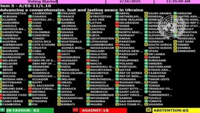 UN usvojio rezoluciju o okončanju rata u Ukrajini, BiH glasala za rezoluciju