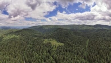 Planina Zvijezda proglašena Zaštićenim područjem