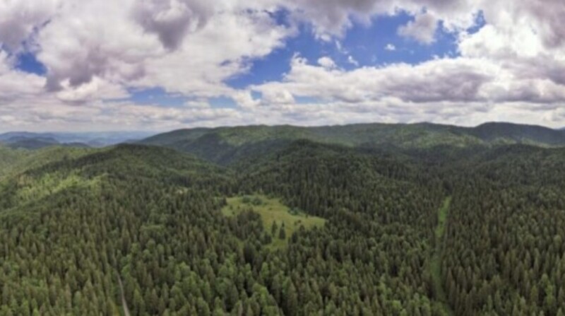 Planina Zvijezda proglašena Zaštićenim područjem