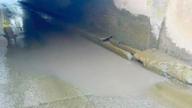 Lučki podvožnjak decenijama problem za pješake