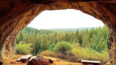 Sutra na području Zaštićenog pejzaža „Bijambare“ svečana primopredaja protivpožarne opreme