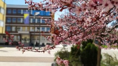 Danas počinje proljeće