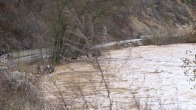 Sladić upozorio: Plavljenja i klizišta prijete Bosni
