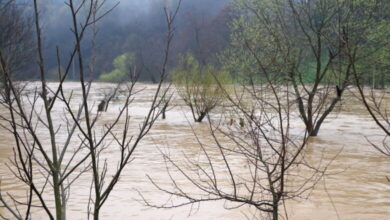 Obilna kiša donijela probleme: Rastu vodostaji rijeka u nekoliko bh. gradova