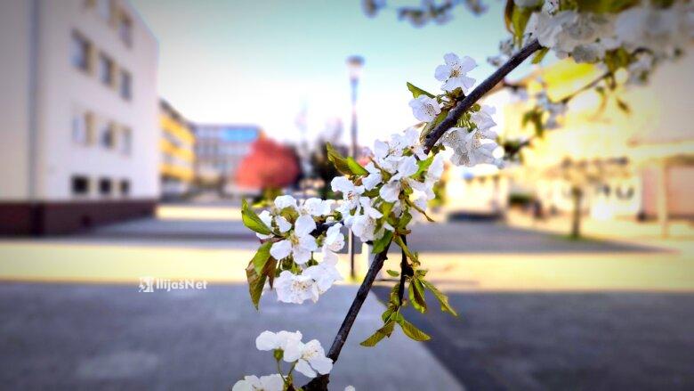 U Bosni danas umjereno oblačno, u Hercegovini sunčano