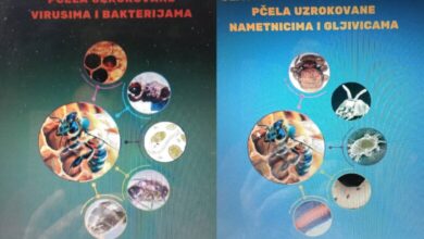 Nova djela Elvira Čuture za pčelare: Stručne knjige o bolestima medonosnih pčela