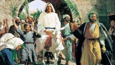 Katolici danas slave Cvjetnicu, počinje Velika sedmica