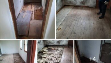 Počeli radovi na renoviranju kuće porodice sa djetetom sa posebnim potrebama u Crnoj Rijeci kod Ilijaša