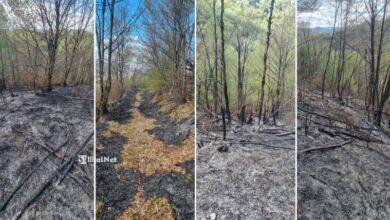 Šumski požar u Radića Potoku uz MZ Ljubnići