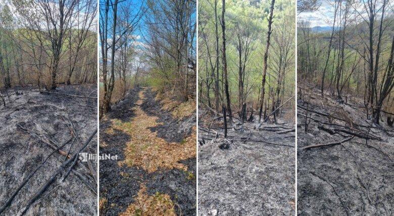 Šumski požar u Radića Potoku uz MZ Ljubnići