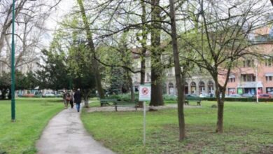 Ministarstvo i Centar za ekologiju i prirodne resurse: Povećana koncentracija polena u maju zahtijeva oprez alergičnih osoba