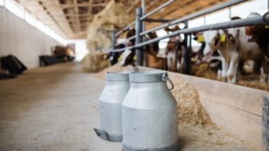 Srbija zabranila uvoz mlijeka iz Bosne i Hercegovine