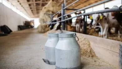 Srbija zabranila uvoz mlijeka iz Bosne i Hercegovine