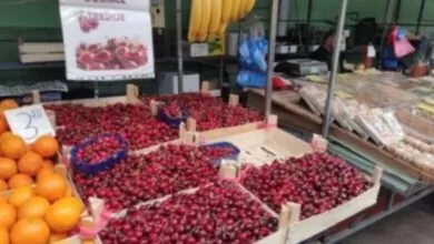 Trešnje 18 KM, krompir na komad: Hrana postala luksuz u BiH