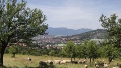 Crveni križ Kantona Sarajevo organizira akciju prikupljanja kurbanskog mesa