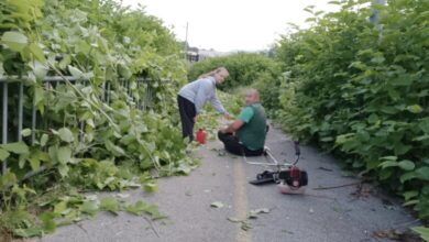Ibiš Huseinović i njegova supruga volonterski pokosili i uredili zaraslu pješačku stazu prema školi u Starom Ilijašu