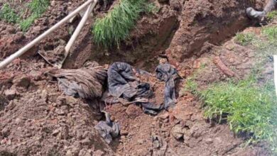 Pronađeni posmrtni ostaci u Glogovoj: Sumnja se da je riječ o žrtvi iz 1992. godine