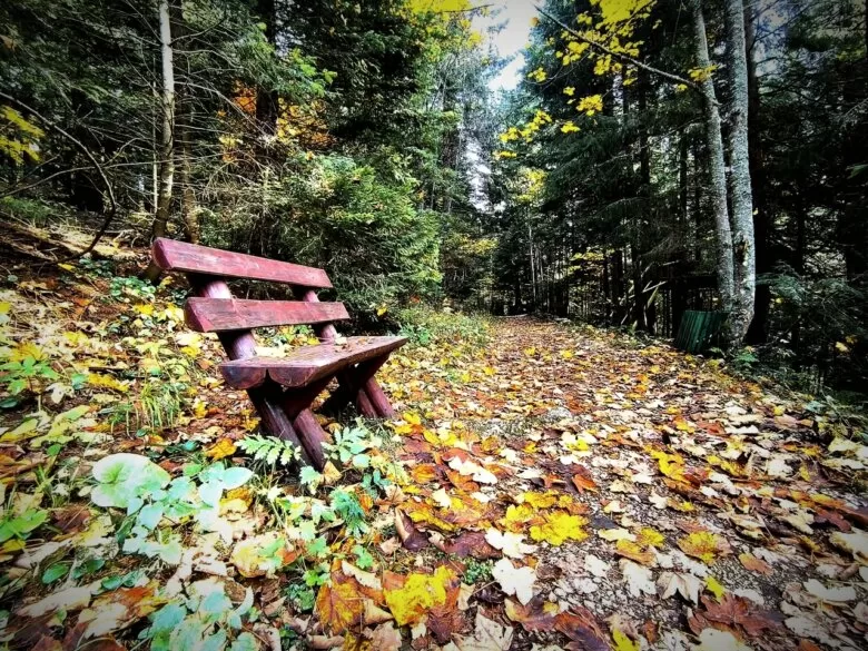 Svjetski dan zaštite okoliša