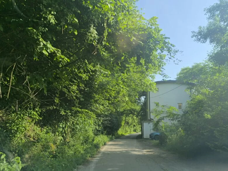 Loše održavanje puta u Donjoj Vogošći: Apel općinskim službama da hitno reaguju